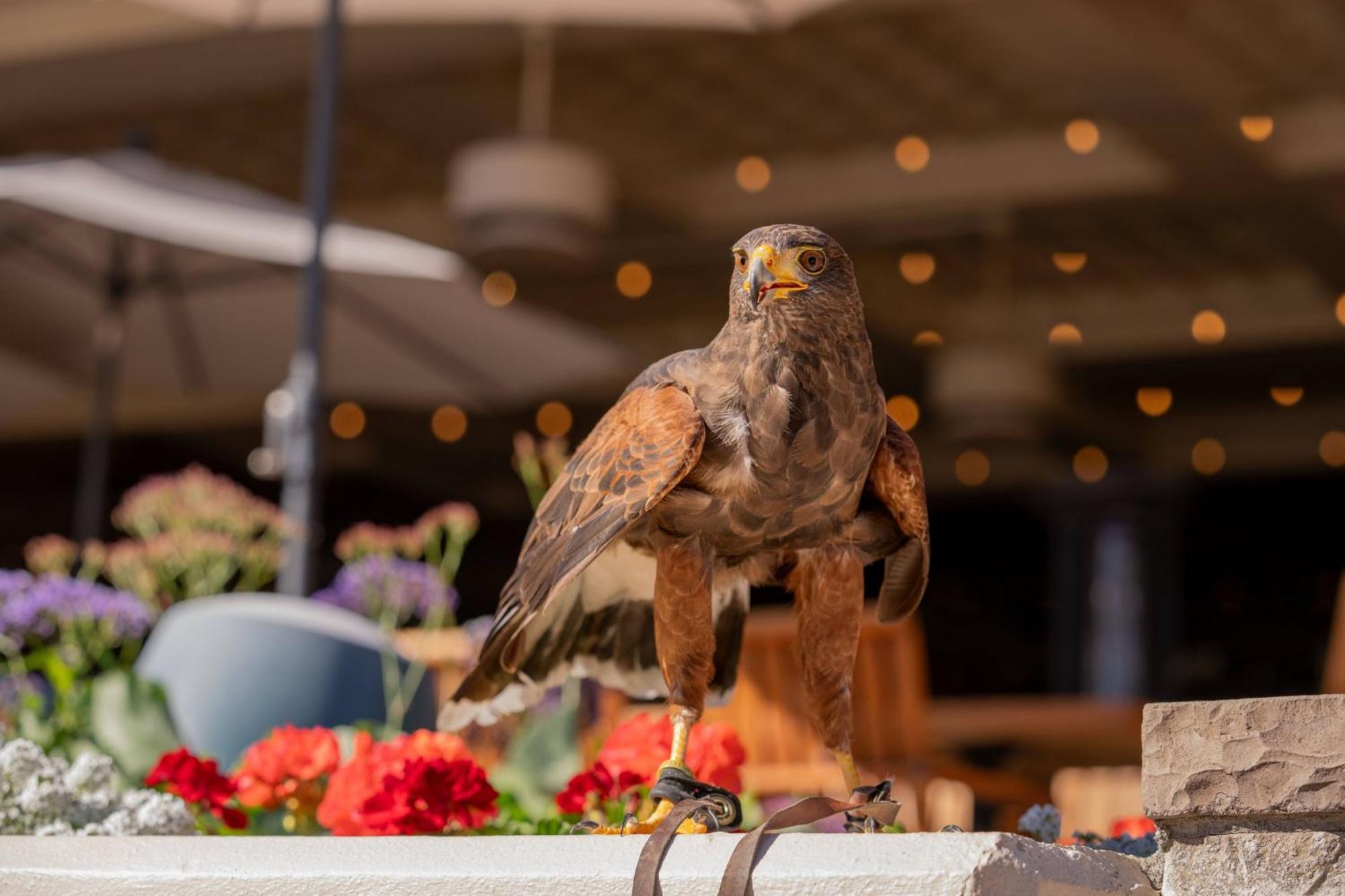 The Phoenician, A Luxury Collection Resort, Station touristique Scottsdale